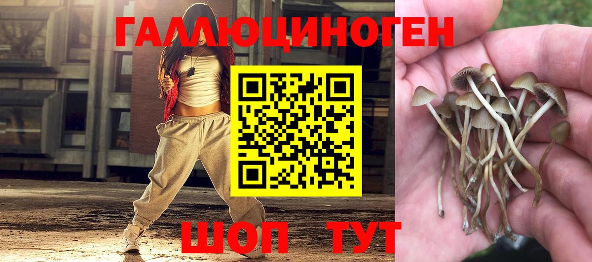 Галлюциногенные грибы MAGIC MUSHROOMS Солнечногорск