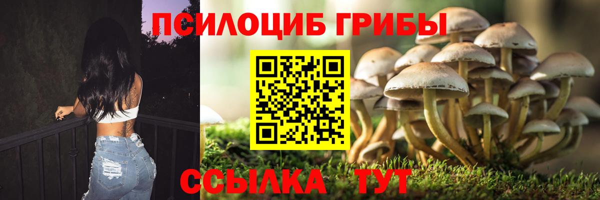 Галлюциногенные грибы Psilocybine cubensis  Вход с VPN  закладка  Солнечногорск 